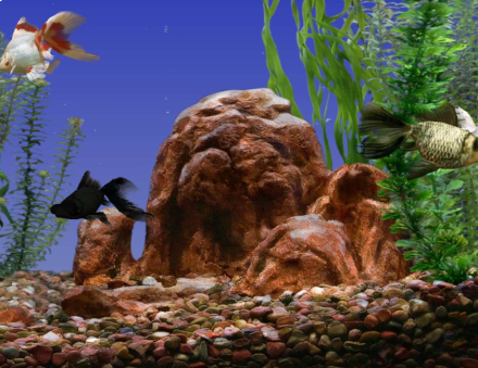 点击查看原图 扣扣截图20220318000643.png