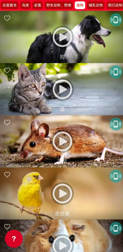 点击查看原图 QQ截图20220805013148.png