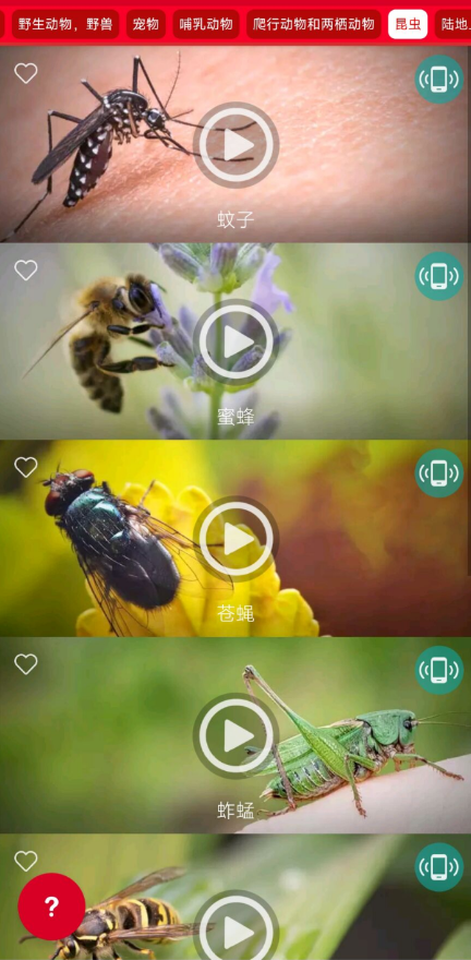 点击查看原图 QQ截图20220805013156.png