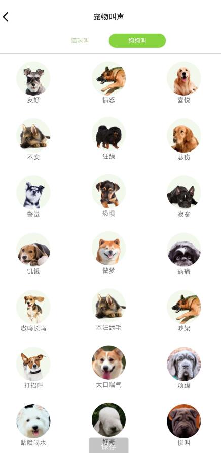 点击查看原图 QQ截图20250204172504.jpg