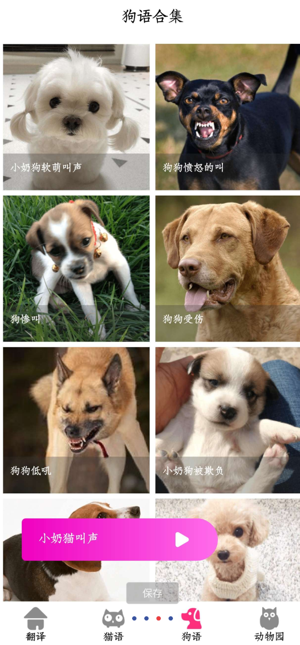 点击查看原图 QQ20250501-012134.png