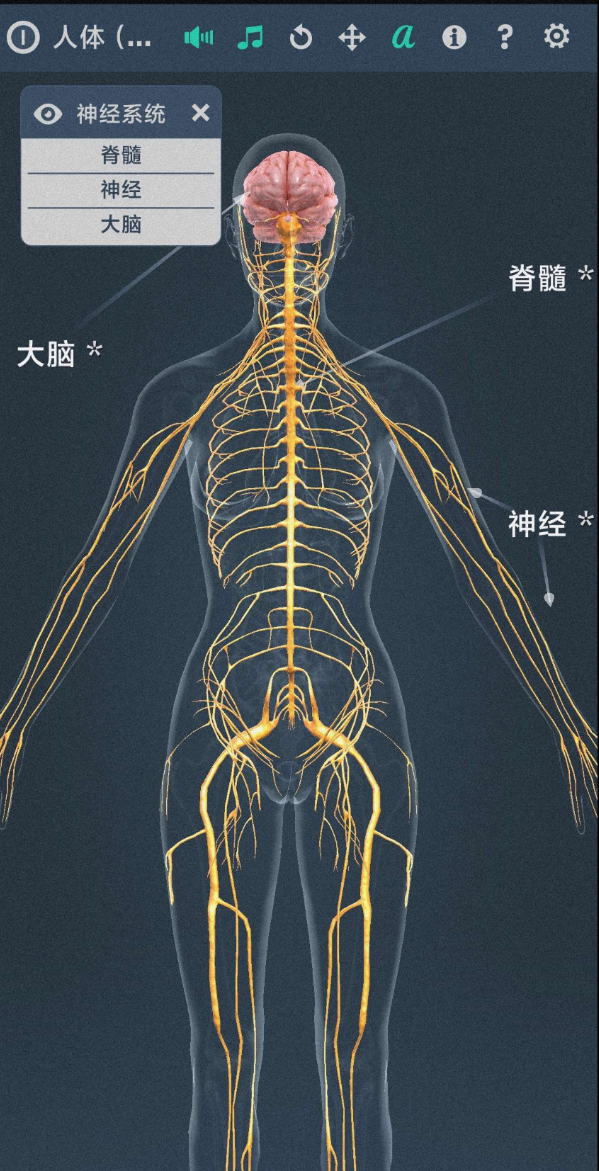 点击查看原图 QQ20250427-215429.png
